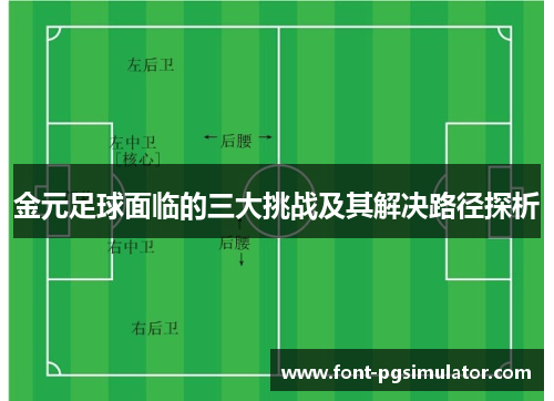 金元足球面临的三大挑战及其解决路径探析 金元足球面临的三大挑战及其解决路径探析